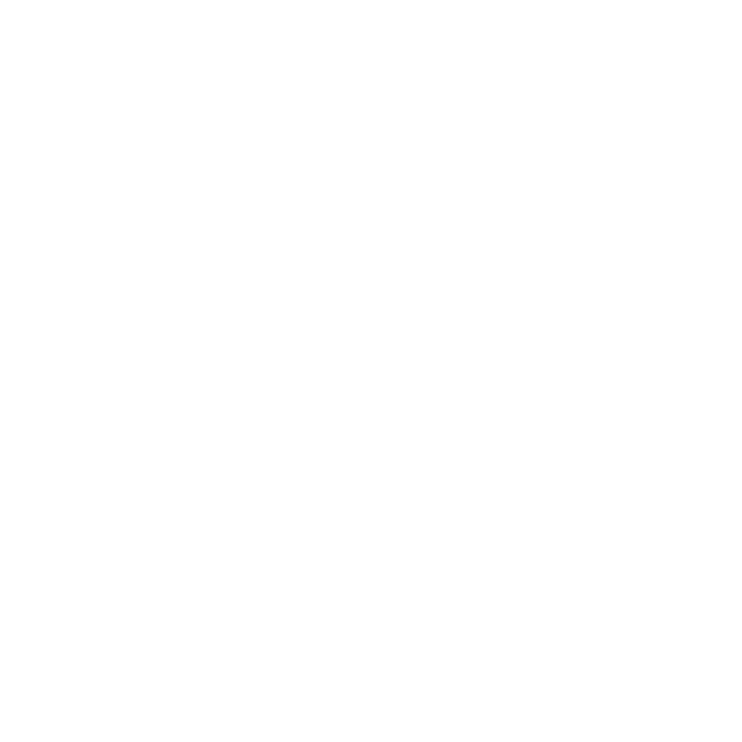Catholic Dioceses icon
